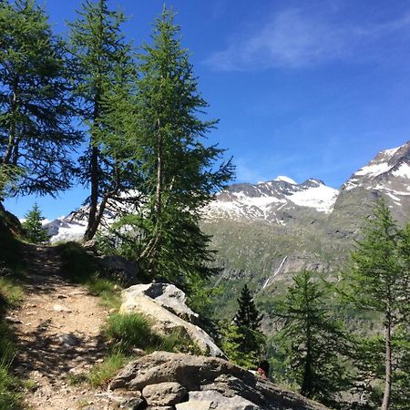 B&B Haus Granit Saas Grund Buitenkant foto