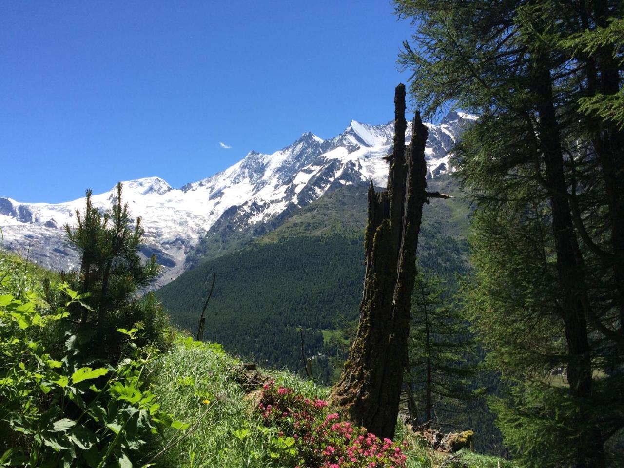 B&B Haus Granit Saas Grund Buitenkant foto